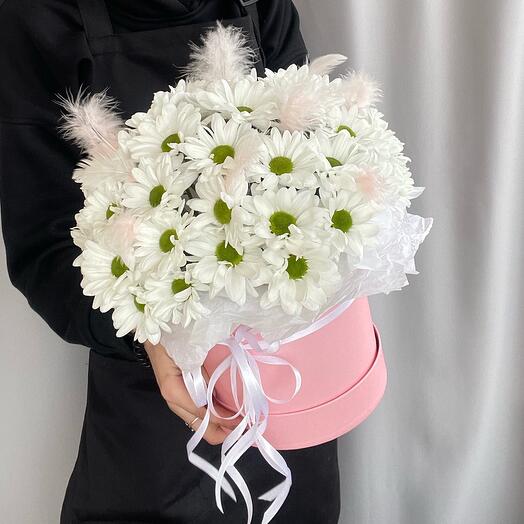 Коробочка из ромашковой хризантемы