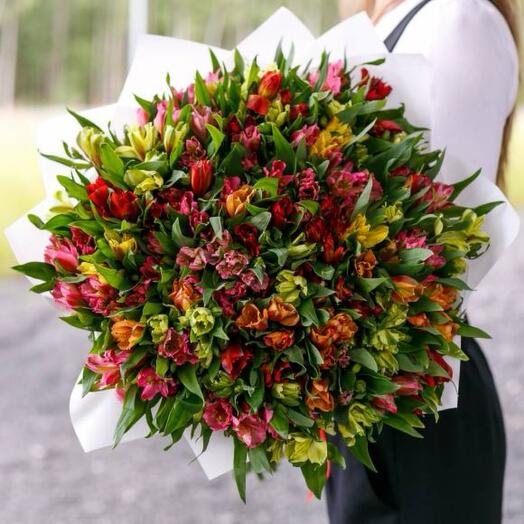 Alstroemeria👌