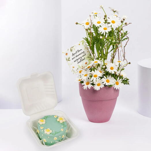 Daisy Theme Bento Cake and Flowers