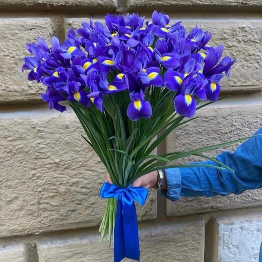 Букет из 25 ирисов