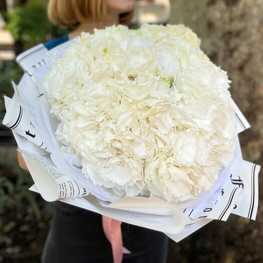 Bouquet of white hydrangea