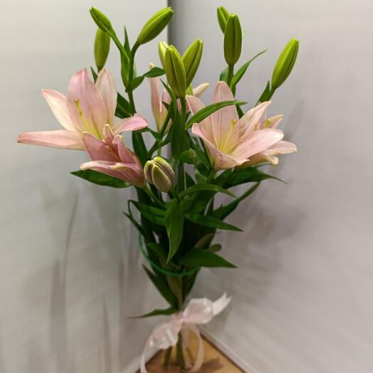 Bouquet of 3 pieces Pink Dutch Lilies