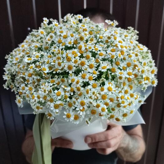 Большая коробка ромашек для любимой