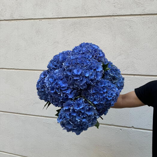 Ramo de Hortensia azules