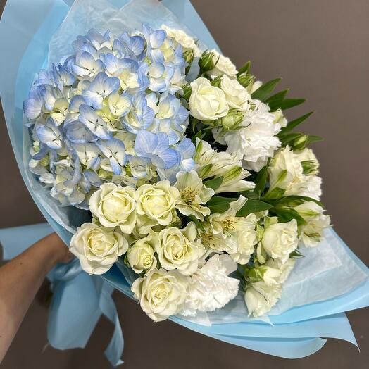 Нежная гортензия