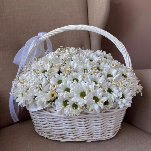 Корзина из белой ромашковой хризантемы