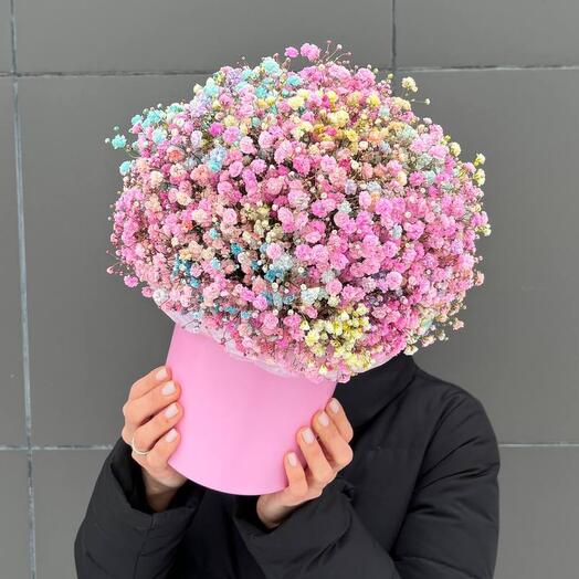 Rainbow gypsophila , flowers in a box