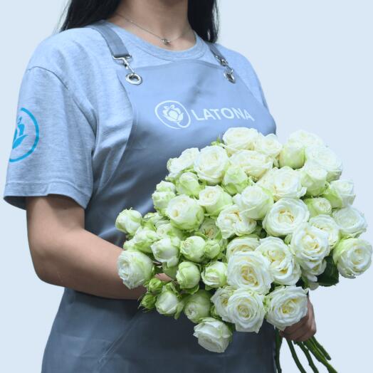 Мисс бомбастик 11 штук