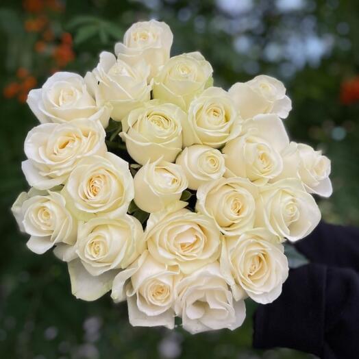 21 роза 60см Аваланж