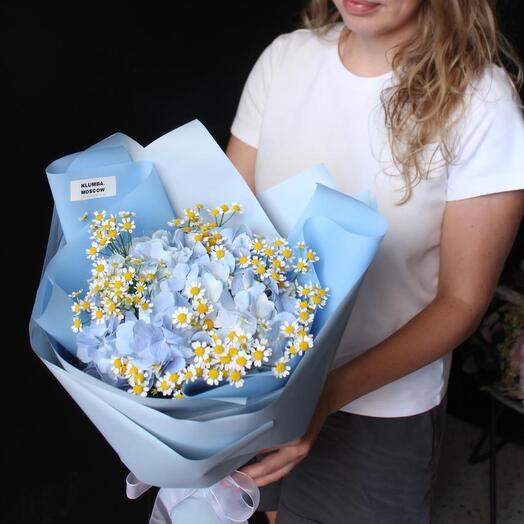 Hydrangea with daisies