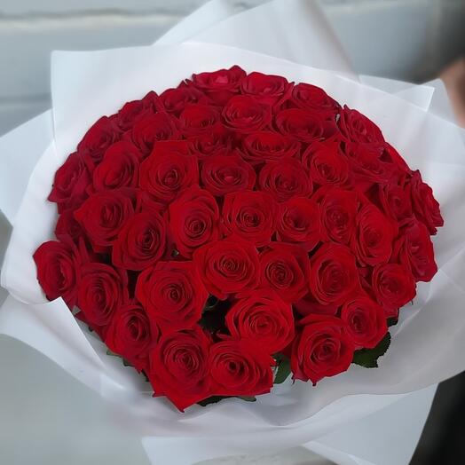51 красная роза 🌹
