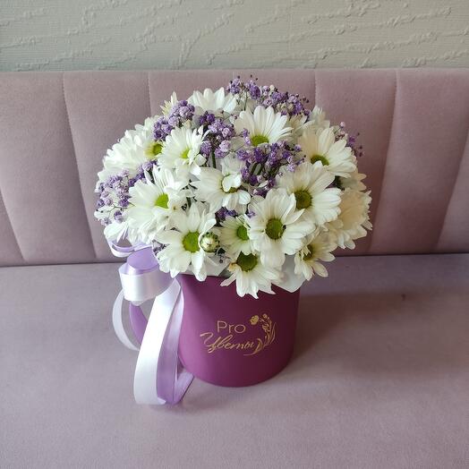 Caja de crisantemo y gypsophila