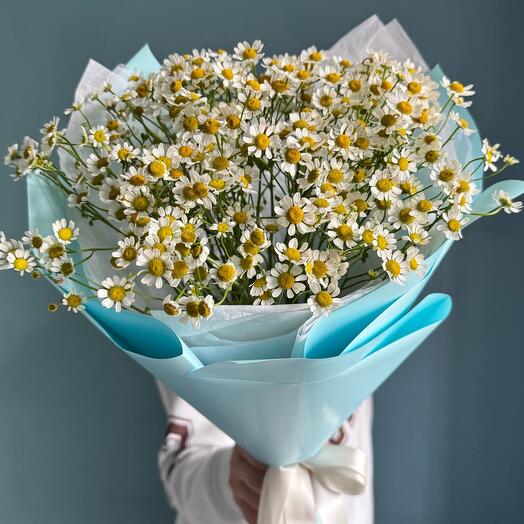 Букет мелких ромашек