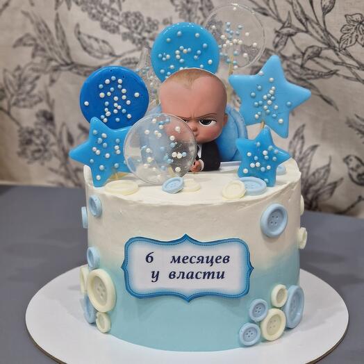 Торт на 6 месяцев, торт на пол годика , торт на день рождения мальчика