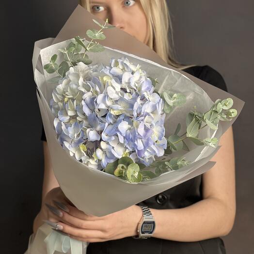 Hortensia con Eucalipto