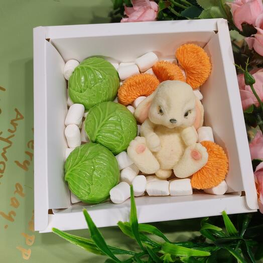 Set "bunny with carrot"