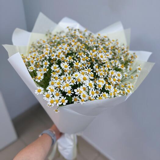Полянка ромашек