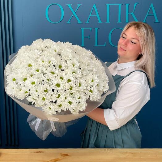 Хризантема ромашка кустовая
