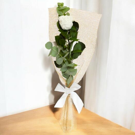 Rosa preservada blanca