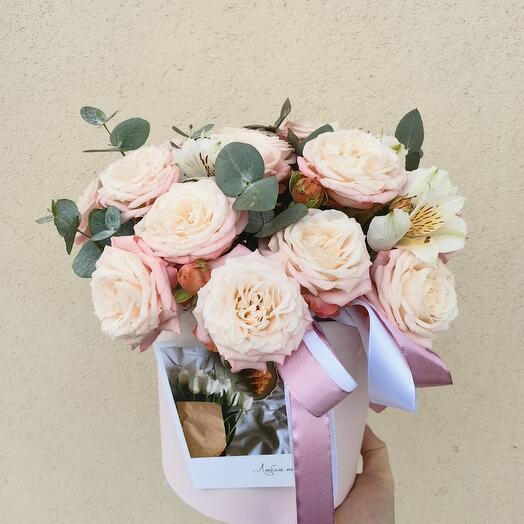 Нежность в коробке