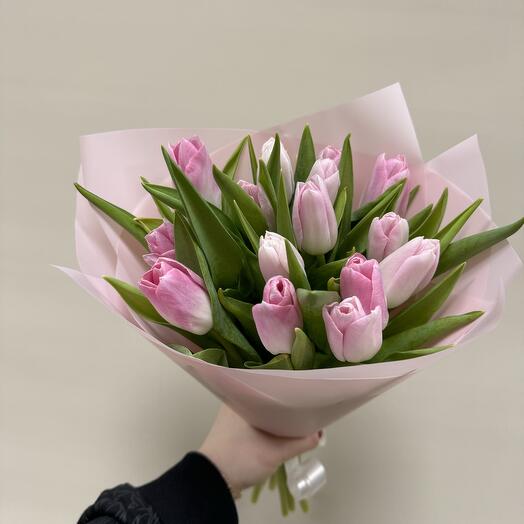 15 розовых тюльпанов 🌷🌷🌷