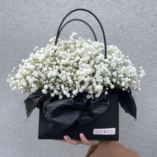 Гисофила в коробке | Gypsophila in box