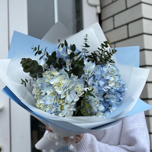 Букет из 3 голубых гортензий с эвкалиптом