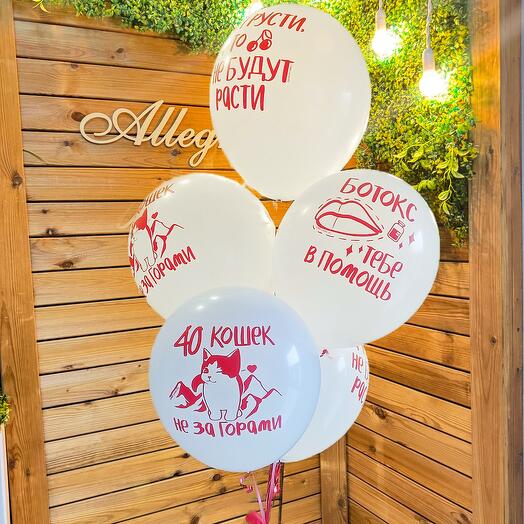Сет «40 кошек не за горами»