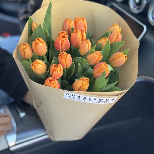 21 orange Tulip