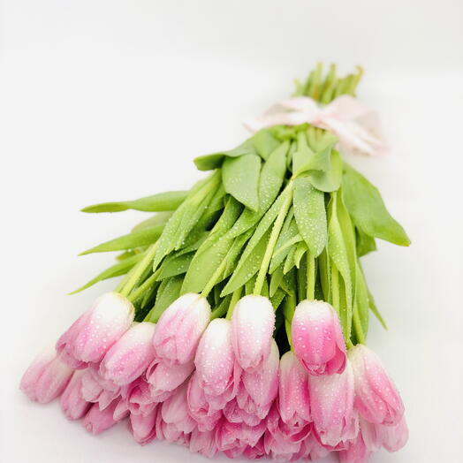 13 pink tulips