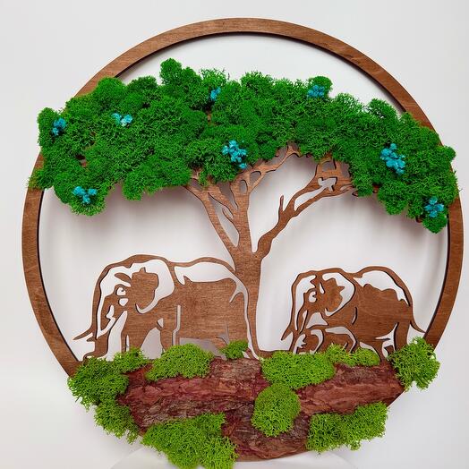 🌳 Панно "Safari Dreams" с стабилизированным мхом, гипсофилой и слонами
