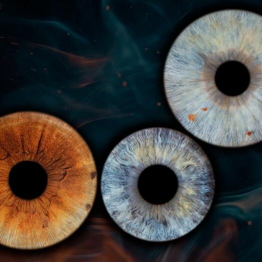 Электронный подарочный сертификат Фото радужки глаза (Семейное фото, 3 человека)