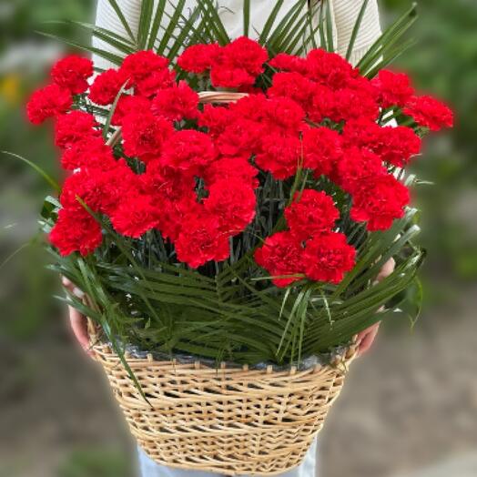 Корзина из 50 красных гвоздик