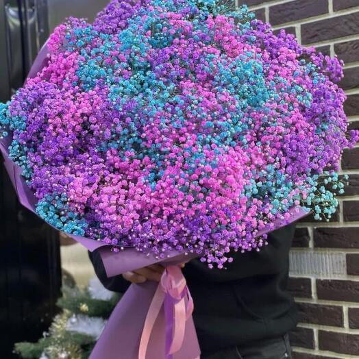 Гипсафилия