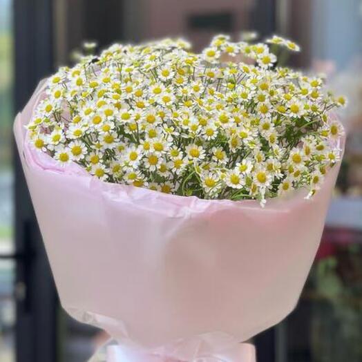 Солнечный букет из ромашек «Matricaria»