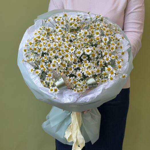 Букет ромашек