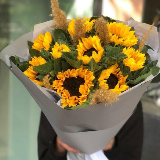 Первые лучи солнца