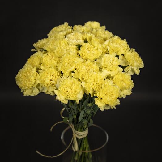 25 Yellow Carnation