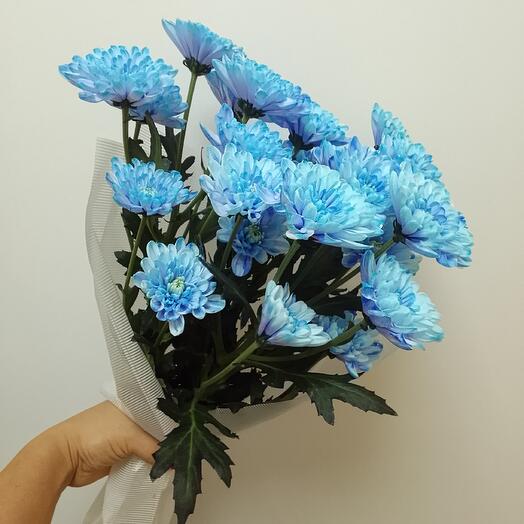 Аквамаринс