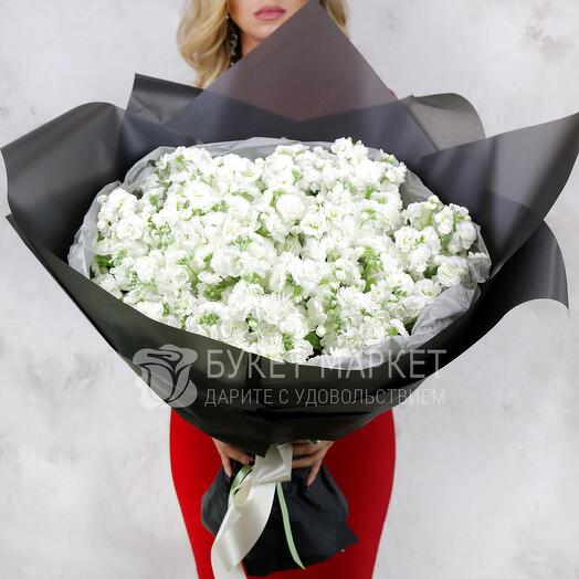 Белые маттиолы 31 шт