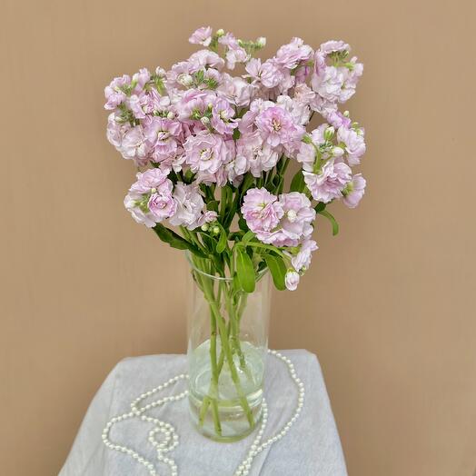 Интерьерная композиция из розовой матиолы – нежность и свежесть в вашем пространстве