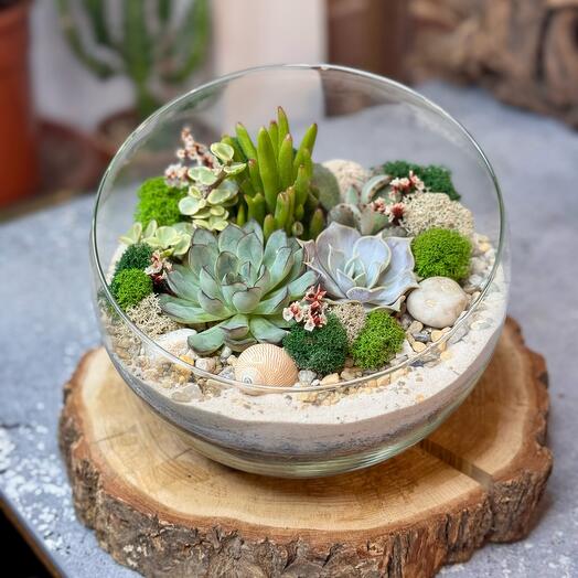 Hemisphere L with succulents - 243