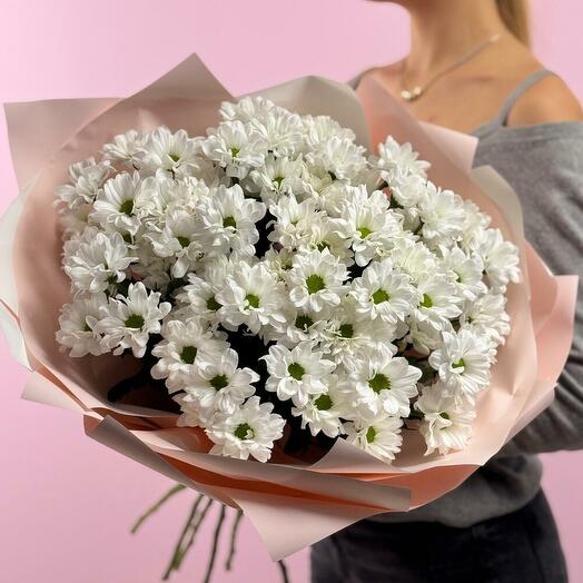 9 кустовых хризантем ромашек