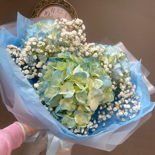 Васильковая гортензия💙