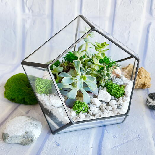 Подарок для сестры флорариум