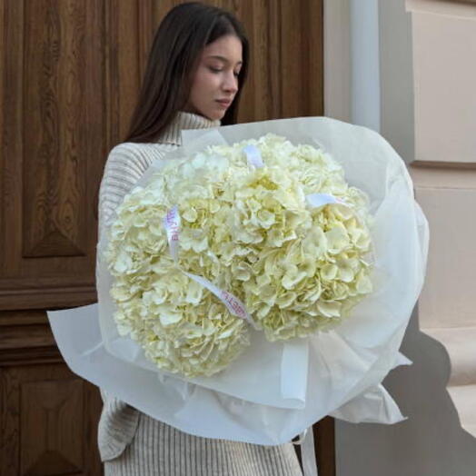 Букет из 7 белых гортензий