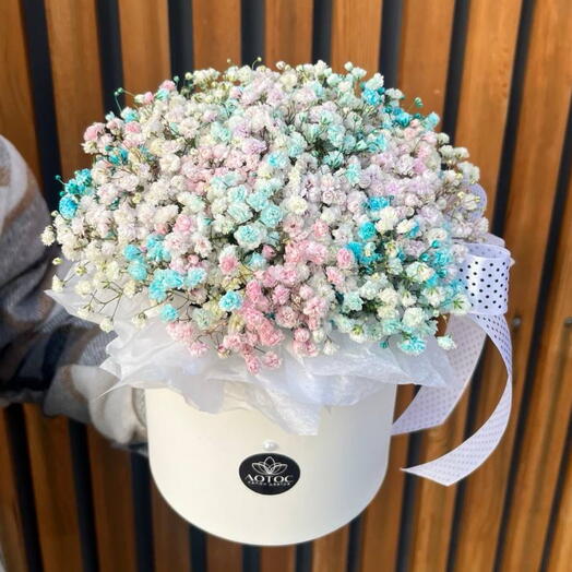 Гипсофила - нежность 🎀