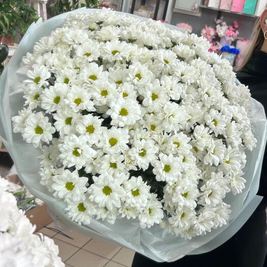 Bouquet di 151 + margherite (15 rami di crisantemo)