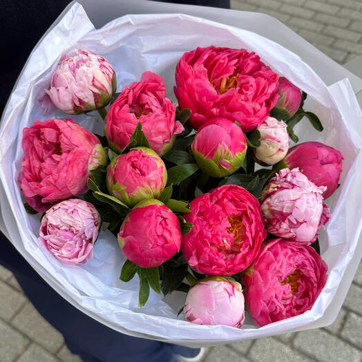 Peonies 15pcs
