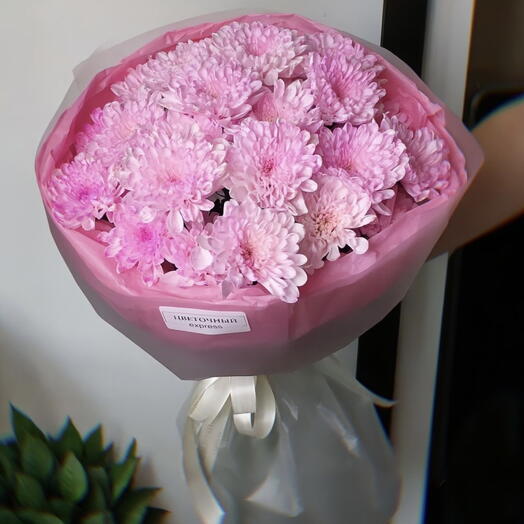 Малиновое облачко